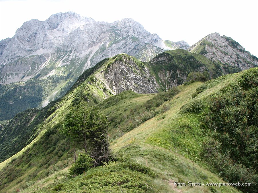 Valcorte 202.jpg - Ormai giunti al Passo della Marogella